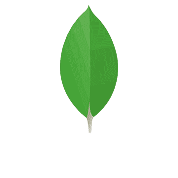 mongodb skill